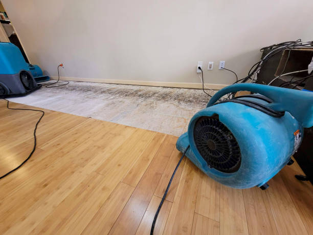 Professional Structural Drying technician working in Wellsville, OH